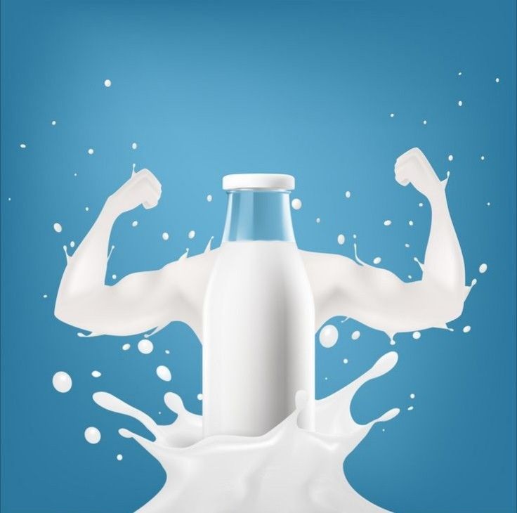 Global Dairy Industry Trends and Market Outlook 2025