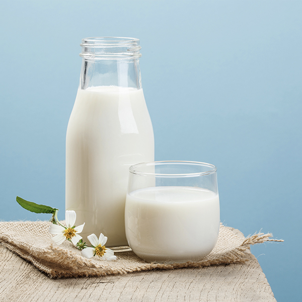 Sustainable Dairy: From Farm Practices to Low-Carbon Logistics