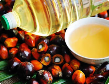 Palm Oil
